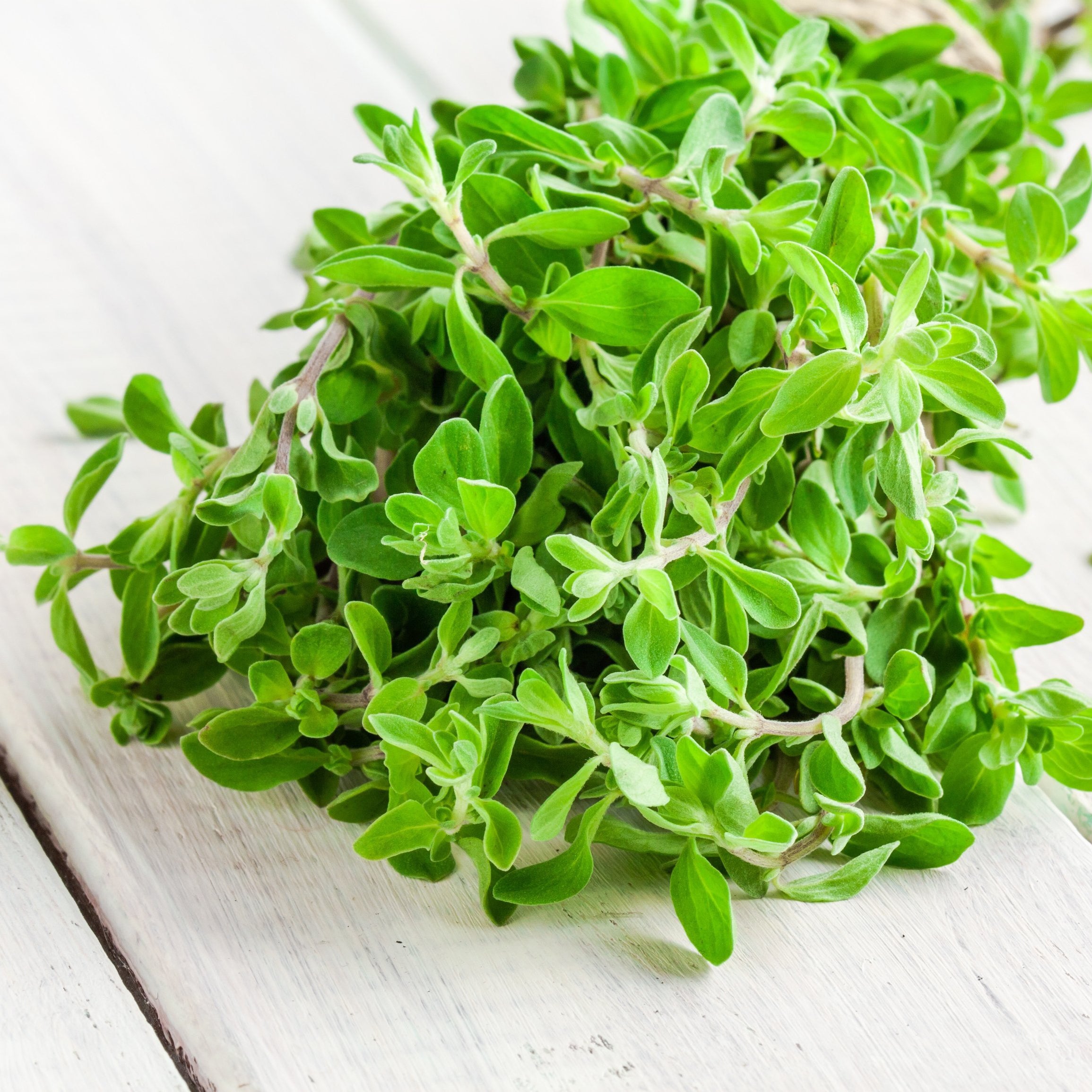 Marjoram Essential Oil Profile Native Essentials Natural Skin Care