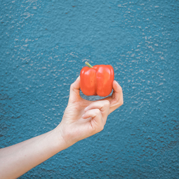 How to Sustainably Feed Your Skin