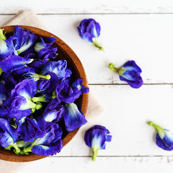 Butterfly Pea - a pretty blue flower for ageless skin and beautiful hair