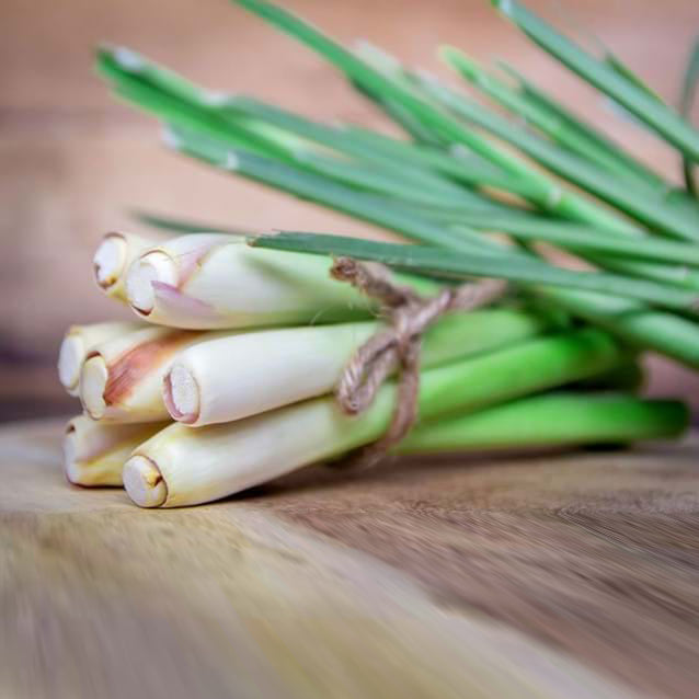 Lemongrass Essential Oil Profile