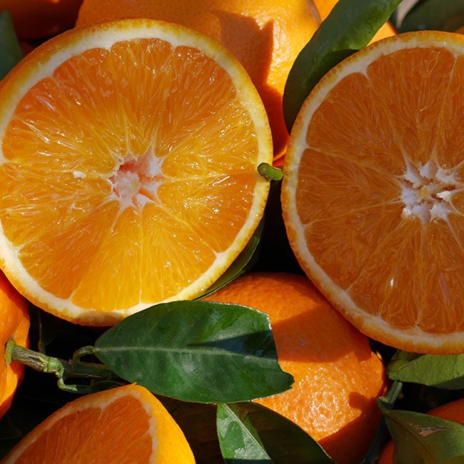 Sweet Orange Essential Oil Profile
