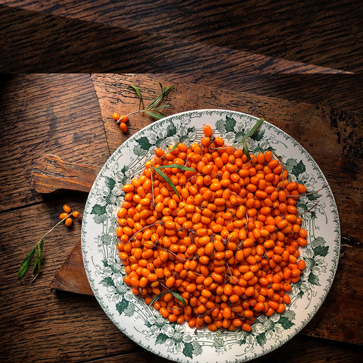 Sea Buckthorn: the power berry for glowing skin