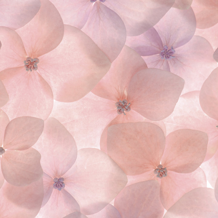 Sensitive skin: skincare ingredients to avoid