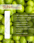 SUN+ key ingredients
